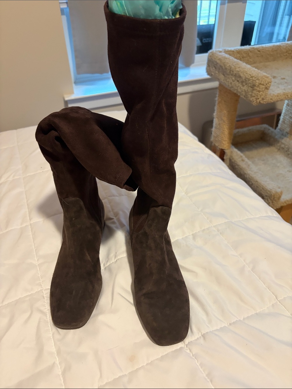 Donald J. Pliner Chocolate Brown Suede Over-the-Knee Boots/ alligator heel